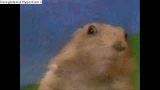 The Dramatic Chipmunk