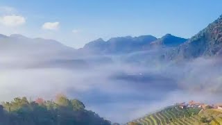 good afternoon live video viral trending goodYouTube browser YouTube search feed##