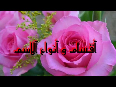 فيديو: ما هي أنواع الكلام الوظيفية والدلالية