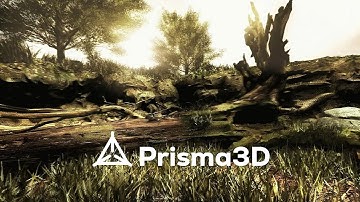Prisma 3D : Creating Ultra Realistic Forest Environment l Time-lapse