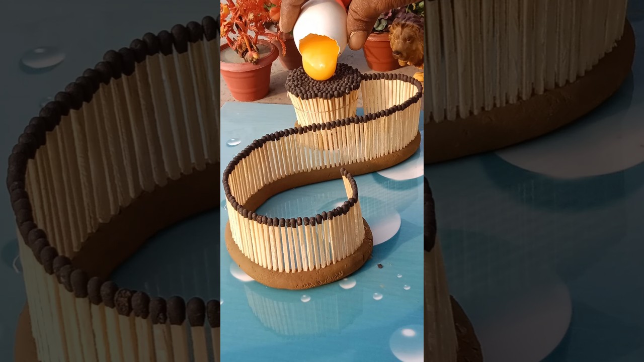 Tom 🍓 Jerry 🍓 Village Eggs Cooking. Episode 208 