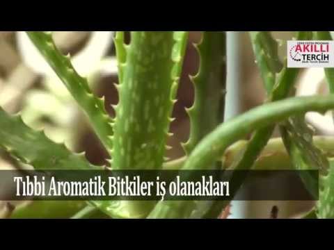 Video: Aromatik Otlar Nasıl Korunur