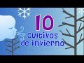 10 Cultivos de Invierno para La Huerta | La Huerta de Daniel 🌻