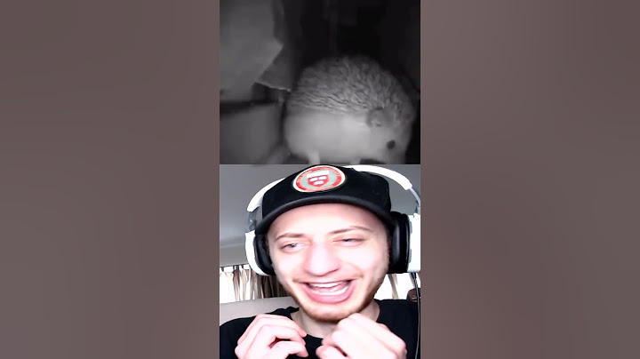 Cute Little Hedgehog #shorts #short #memes #meme