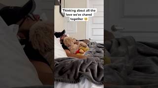 Mini Cockapoo and Her Dad Share Years of Love