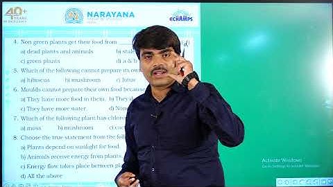 12TH AUG AP & TS CLASS IV  SCIENCE ASSIGNMENT KEY