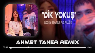 UZI & Banu Parlak - Dik Yokuş ( Ahmet Taner Remix ) Elim Bol Ama Senin Cebin Deliktir Resimi