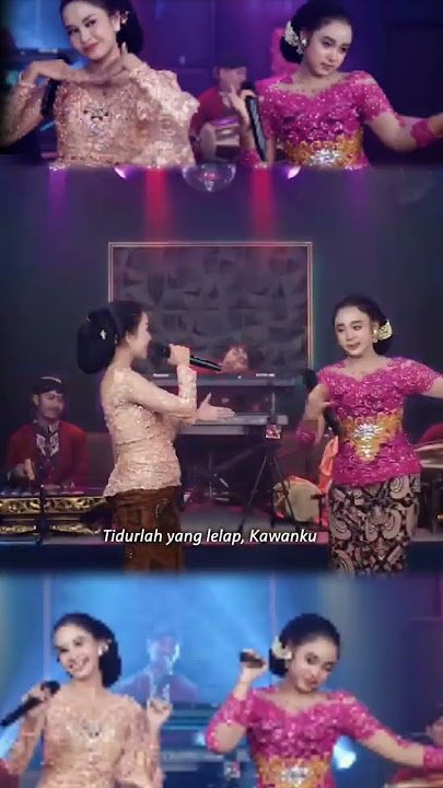 Cerita malam (Tidurlah yang lelap kawanku) Niken Salindry feat Rina Aditama