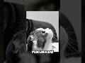 9 NOTICIAS RANDOM DE HOY #noticias #ultimahora