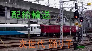 【配給輸送】 EF81 134牽引 E257系 NA-08編成 @ 高崎