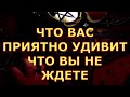 ЧТО ВАС ПРИЯТНО УДИВИТ ЧТО ВЫ НЕ ОЖИДАЕТЕ гадания карты таро любви сегодня