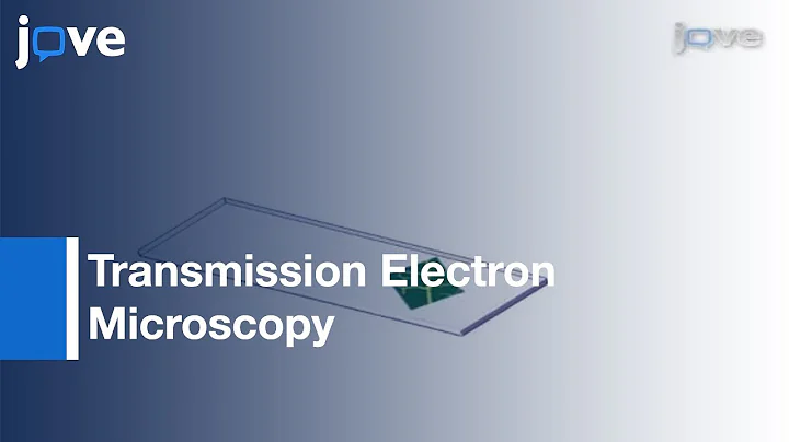 Microwave-Assisted Rapid Diagnosis: Plant Virus Diseases l Protocol Preview