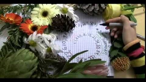 01   Spirals, Fibonacci and being a plant   01   Doodling in math  Spirals, Fibonacci, and being a p