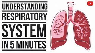 The Respiratory System Explained in 5 Minutes Respiratory System Made Simple 5 Minute Explanation