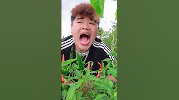 Ăn ớt 🌶 xúc xích + tương ớt siêu cay + 5 ớt hiểm #shorts
