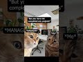 Hey, We are projxty and making an attempt to build an interactive learning experience #devlife