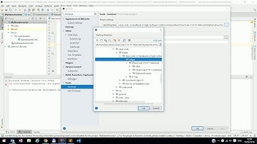 IntelliJ - Terminal - change start path