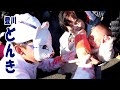豊川のどんき2019　天狗とキツネの紅ぬり祭り