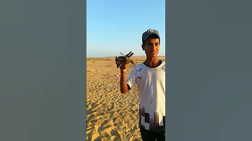 صيد العصافير الصياد عبدالرحمن من موسم الصيد 