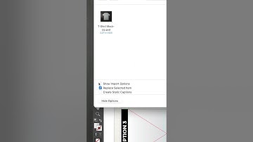 The Power of InDesign Import Options