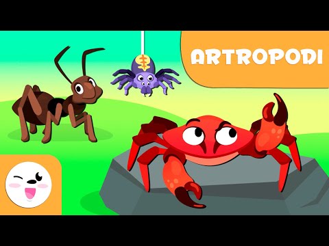 Gli artropodi per bambini - Animali invertebrati - Scienze naturali per bambini