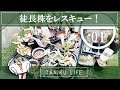 【多肉植物】徒長した多肉をなんとかしよう Part1【succulent】