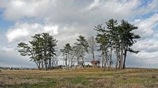 被災地から 復興見守る「奇跡の本殿」下増田神社