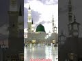 jaan hazir hai Mustafa k liye #naatshareef #naatsharif #duet #trending #viral #shorts #reaction