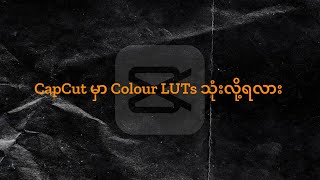 Can You Use Colour LUTs in CapCut?