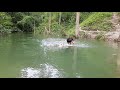 local swimming phool in Syangja , nepal
