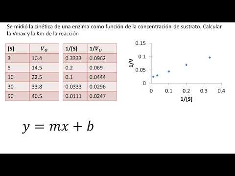 Video: ¿Cómo se encuentran los kilómetros en un gráfico de Lineweaver Burk?