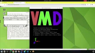 VMD Demo