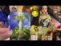 Leo ♌️ tarot  presente pasado y futuro salud dinero y amor