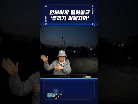 #<strong>2424</strong>. 야간에 하는 차 낚시(?) #shorts