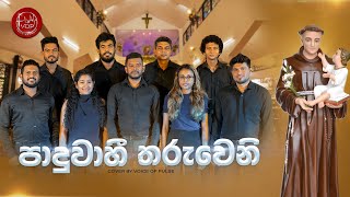 Paduwahi Tharuweni (පාදුවාහී තරුවෙනි) Cover By VOP