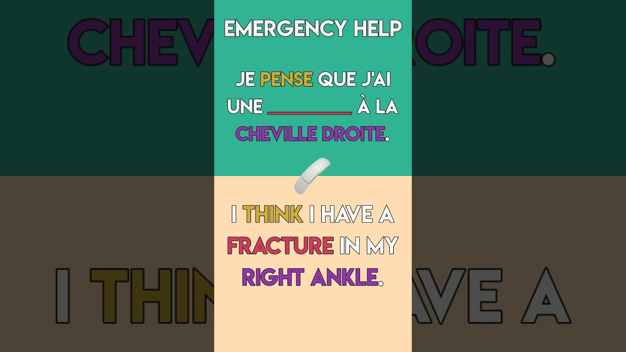 French Emergency Phrases: Quick Guide (B2)