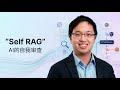 【AI手搓实战 2】Self RAG :AI系统的自我审查 | 实战法律AI文档助手