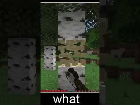 Minecraft, But I'm