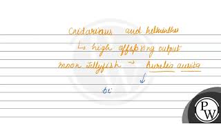 Describe The Strobilation In Aurelia.