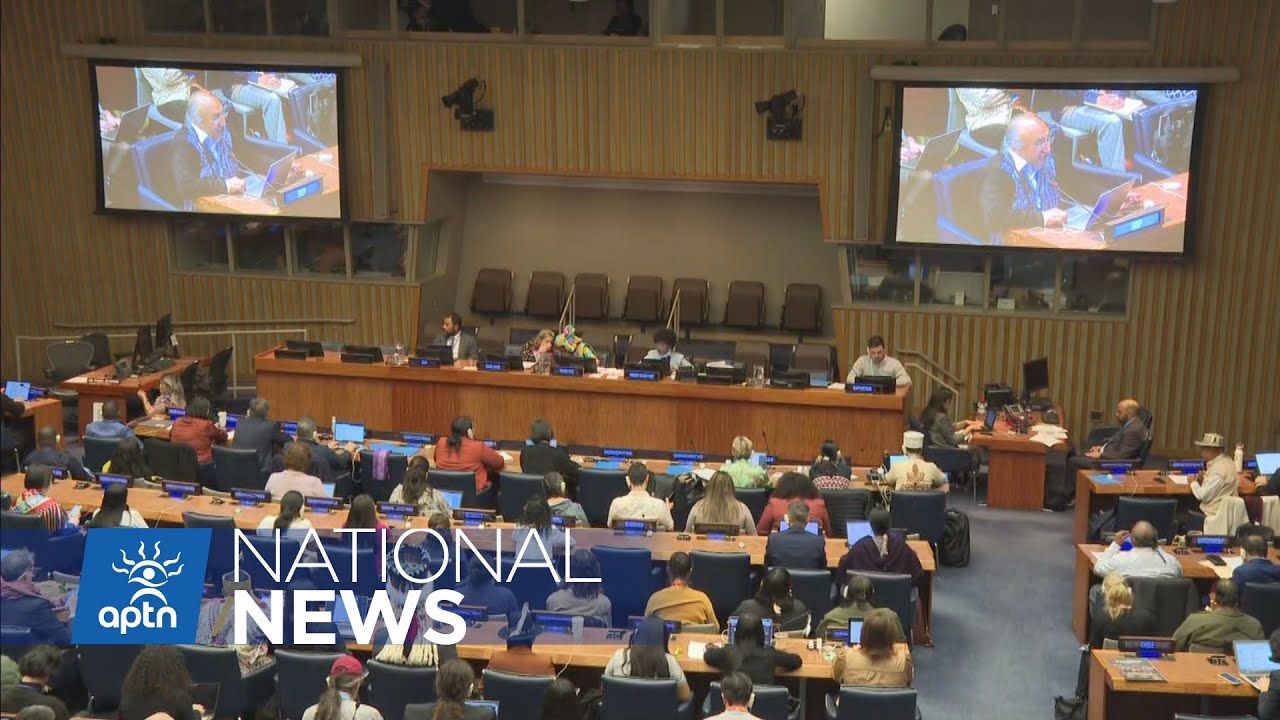 Identity fraud discussed at UN Permanent Forum on Indigenous
