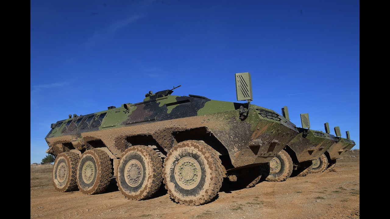 Kako će Lazar, Miloš i BOV u budućnost?