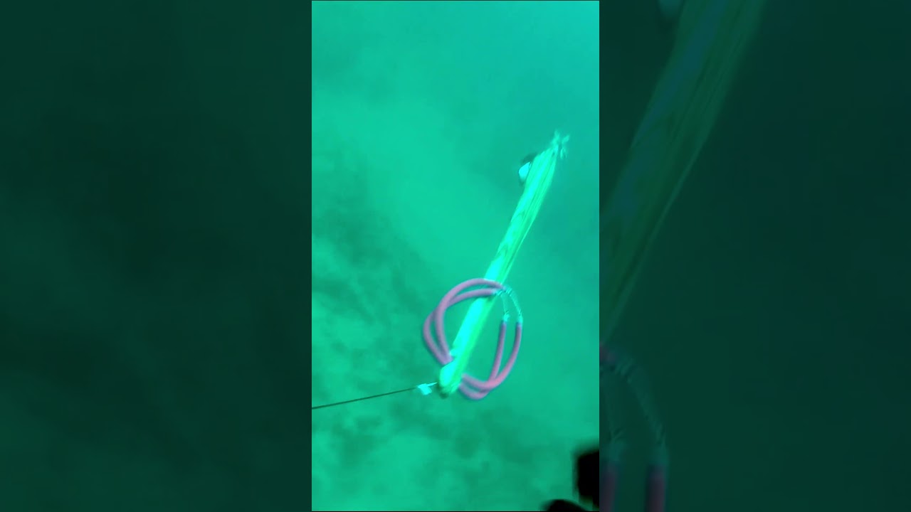 mero a  47 mts de profundidad con Jesus Jimenez Reyes  