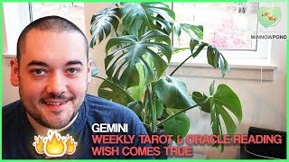 Gemini - "You Wished For This" May 18th - May 24th