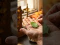 Application 1 - The tulsi leaf | Bhagavad Gita Wisdom