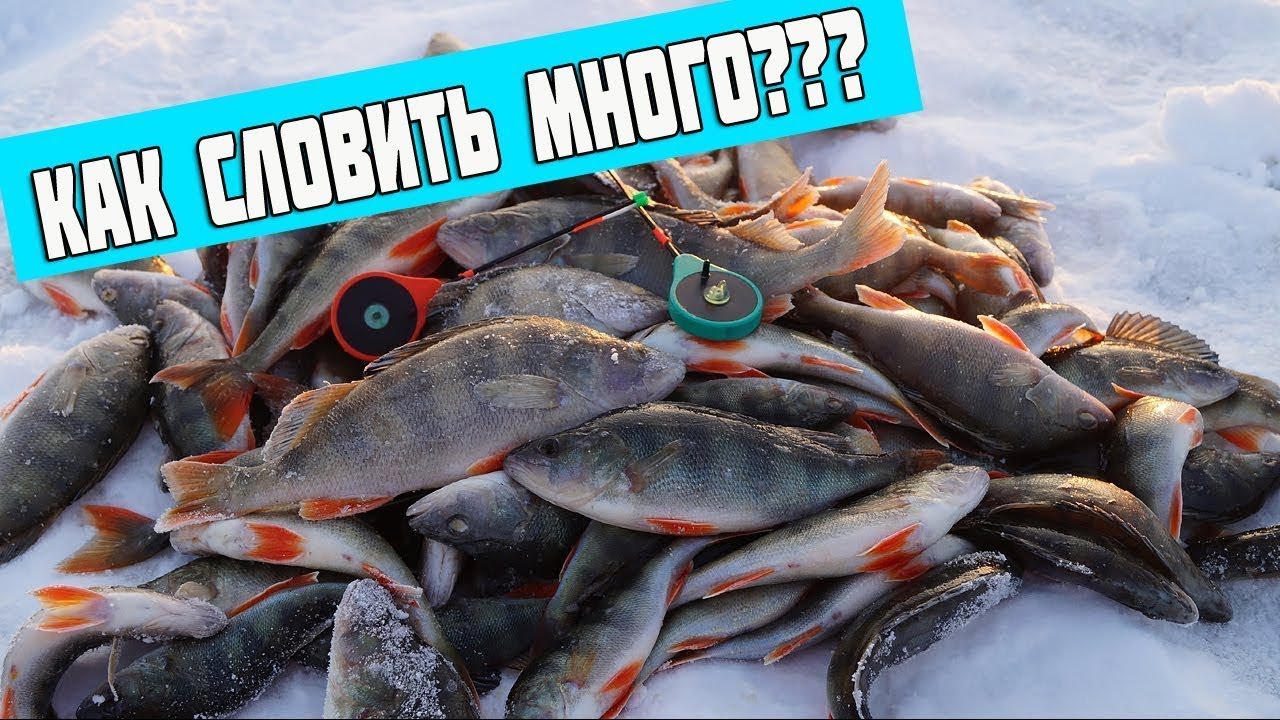 Рыбалка На Р Вагай Вагайский Район - Скачать mp3 бесплатно