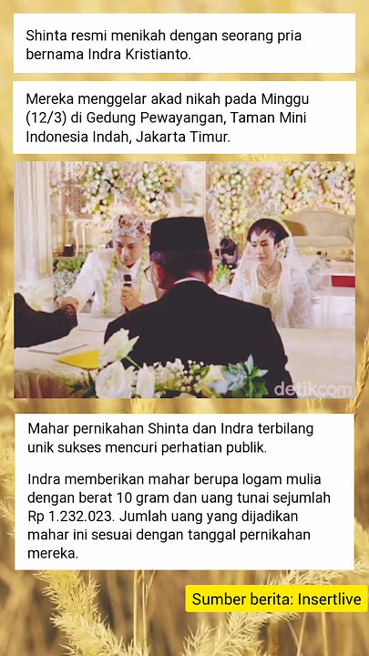 Shinta Bachir Resmi Menikah dengan Indra Kristanto #shintabachir #shorts