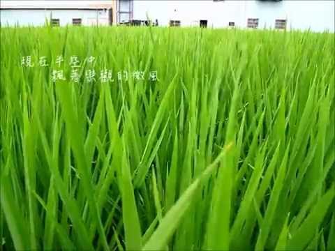 吵吵快樂農趣＞＞2012農人寫作培力工作坊－－苗栗場課程分享。.wmv