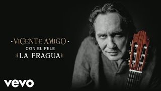 Video thumbnail of "Vincente Amigo con El Pele - La Fragua (Audio)"