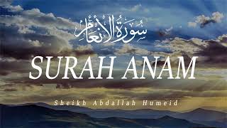 Amazing Quran Recitation ► Surah Anam (the Cattle) ►By Abdallah Humeid