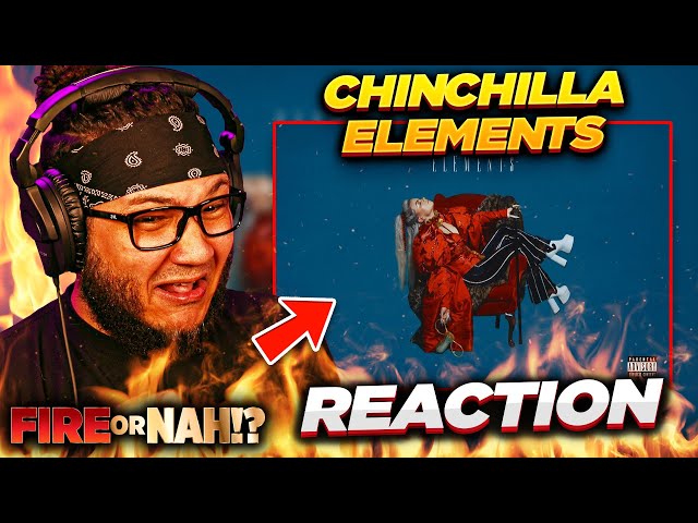 FIRE or NAH?! Chinchilla - Elements (REACTION) | iamsickflowz class=